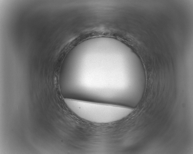X0000067331302200603310848