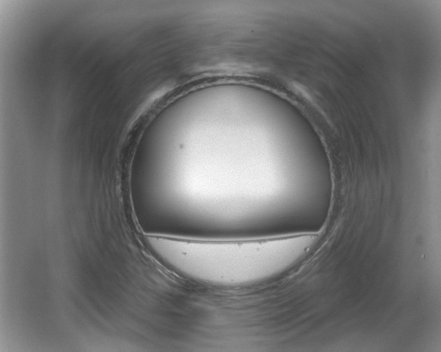 X0000067331307200603310848