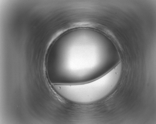 X0000067331328200603310848
