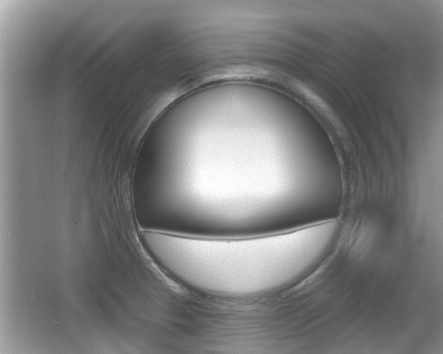 X0000067331329200603310848