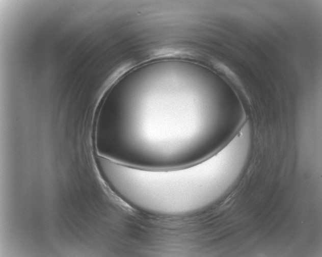 X0000067331330200603310848