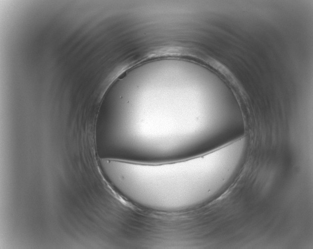X0000067331337200603310848