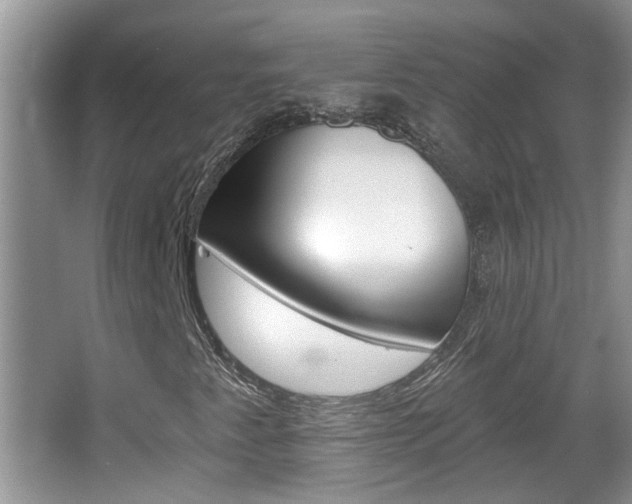 X0000067331345200603310848