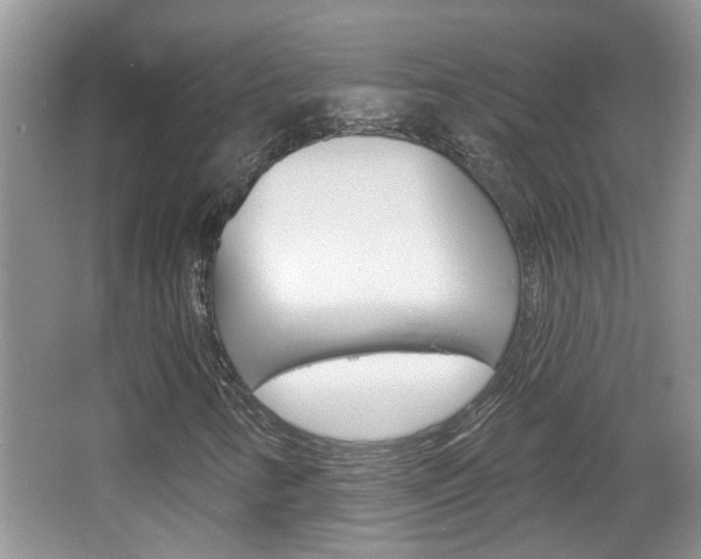 X0000067331346200603310848
