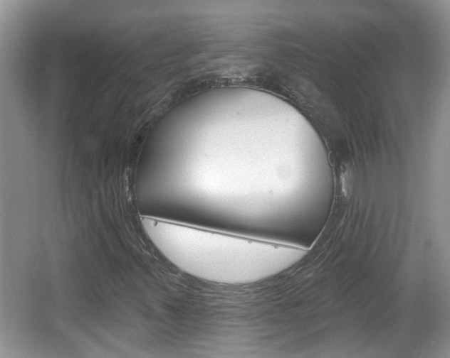 X0000067331347200603310848