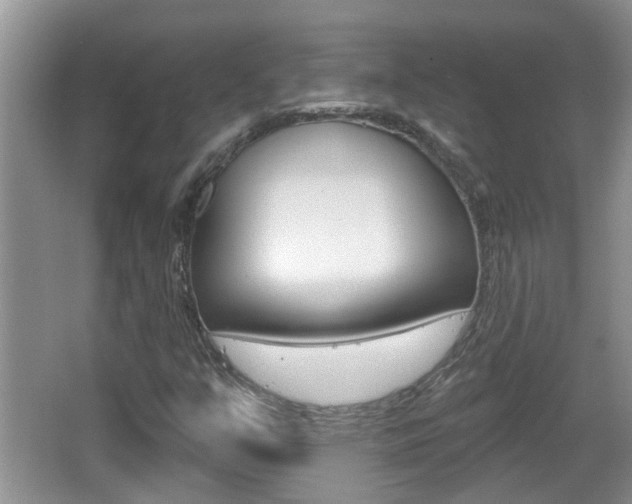 X0000067331351200603310848