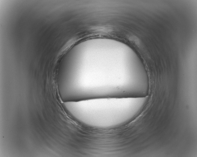 X0000067331354200603310848