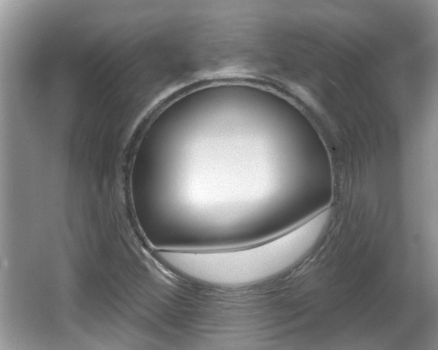 X0000067331356200603310848