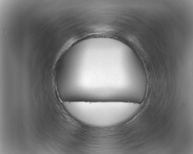 X0000067331362200603310847