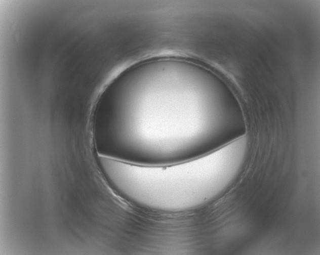 X0000067331367200603310847