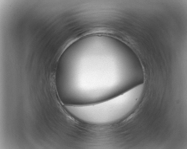 X0000067331369200603310847