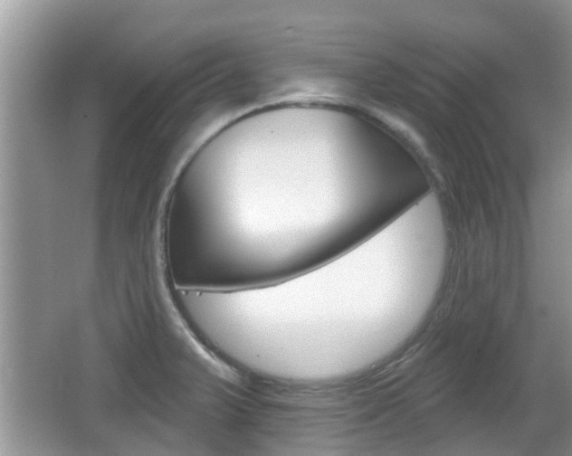X0000067331375200603310847