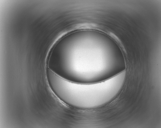 X0000067331384200603310847