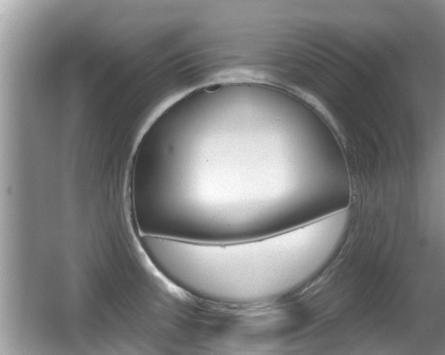 X0000067331387200603310847