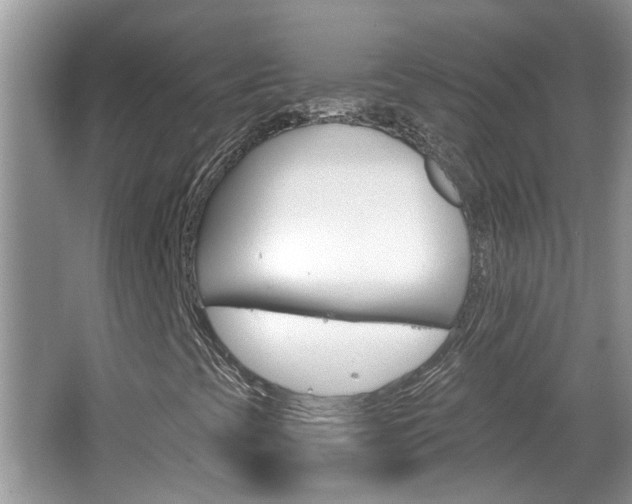 X0000067331393200603310846