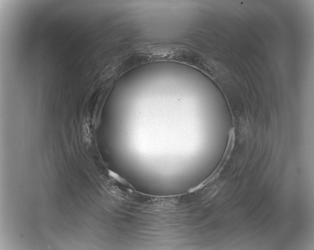 X0000067331394200603310846