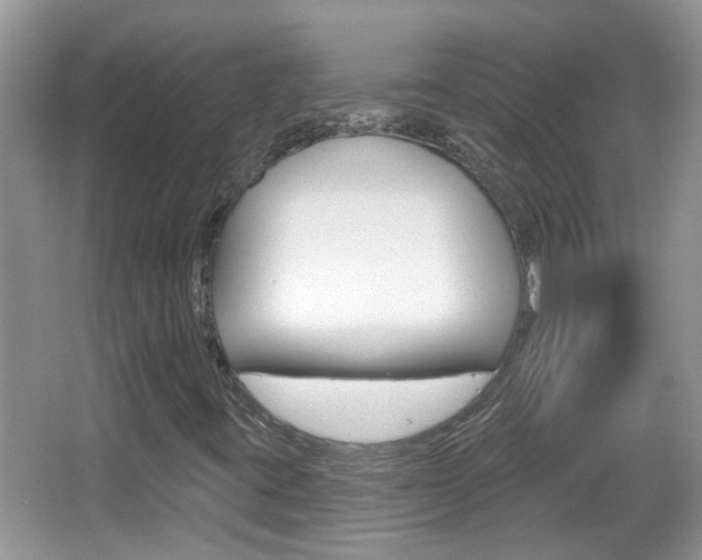 X0000067331395200603310846