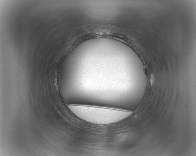 X0000067331396200603310846