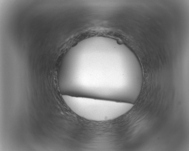 X0000067331397200603310846