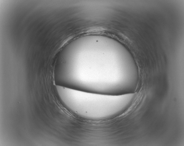 X0000067331401200603310846