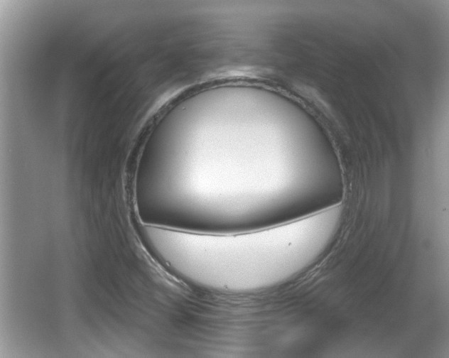 X0000067331404200603310846