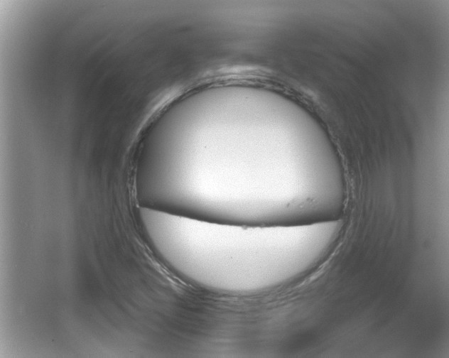 X0000067331405200603310846