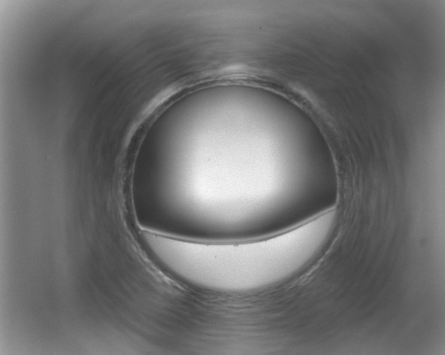 X0000067331410200603310846