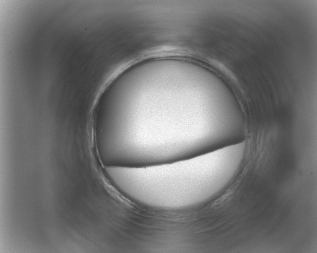 X0000067331413200603310846