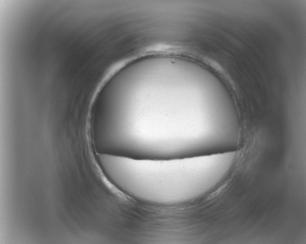 X0000067331421200603310847