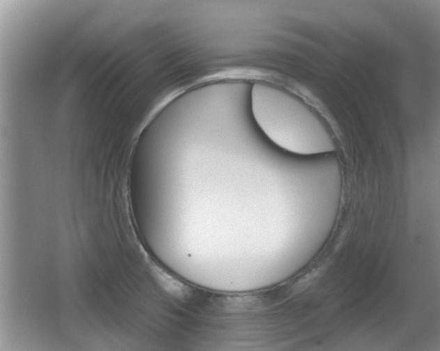 X0000067331425200603310847
