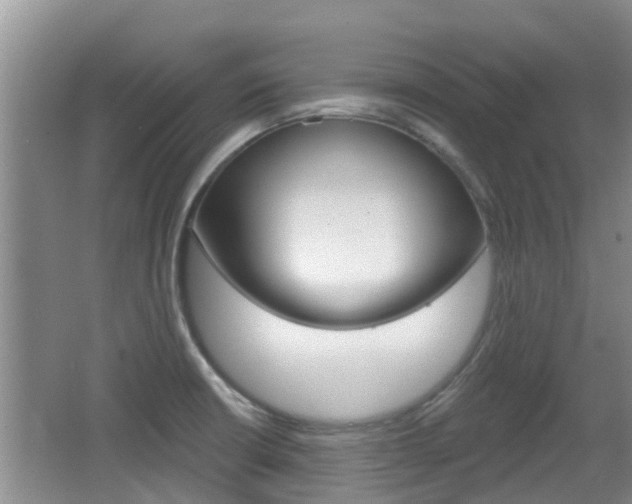 X0000067331426200603310847