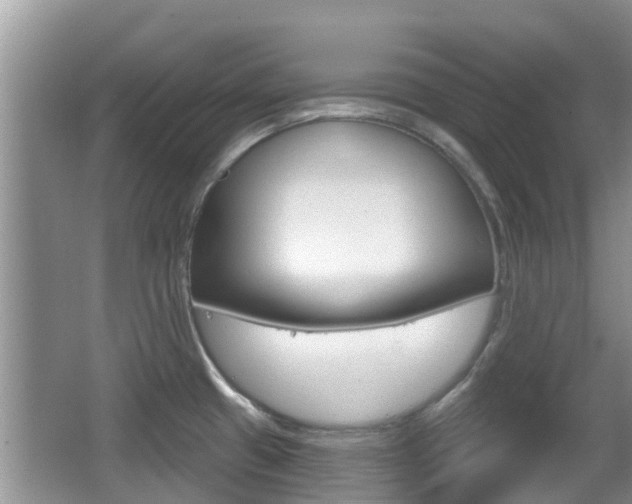 X0000067331433200603310847