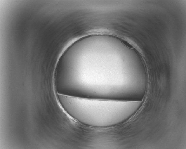 X0000067331440200603310847