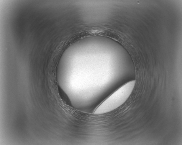 X0000067331441200603310846