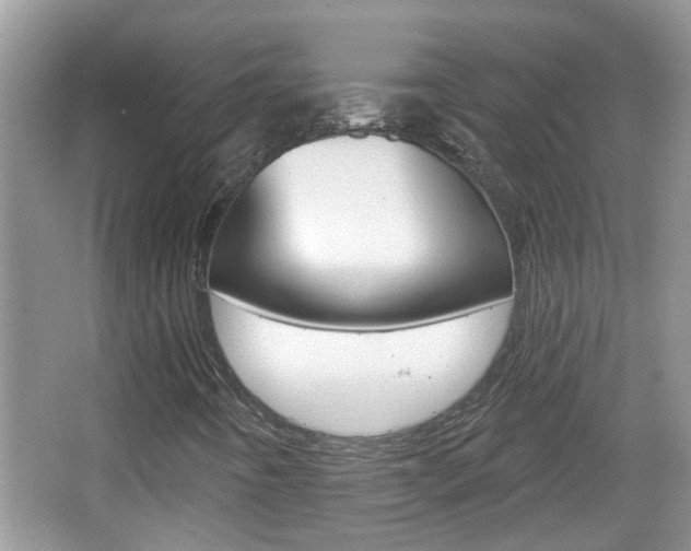 X0000067331442200603310846