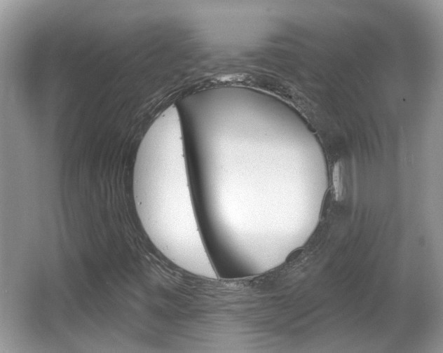 X0000067331443200603310846