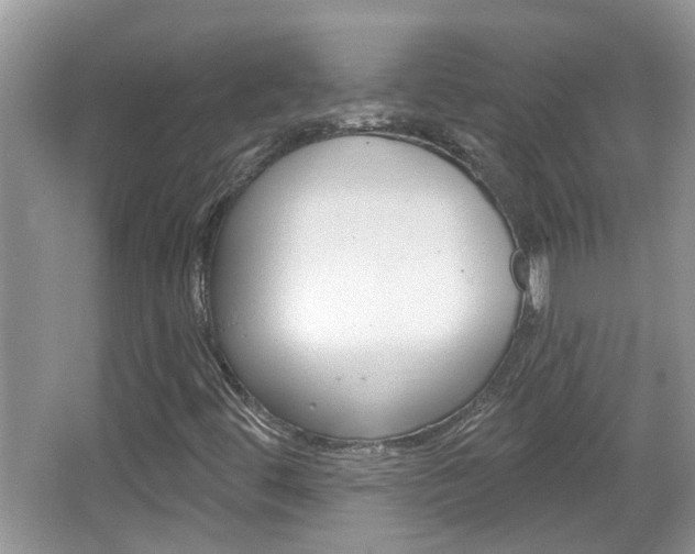 X0000067331444200603310846