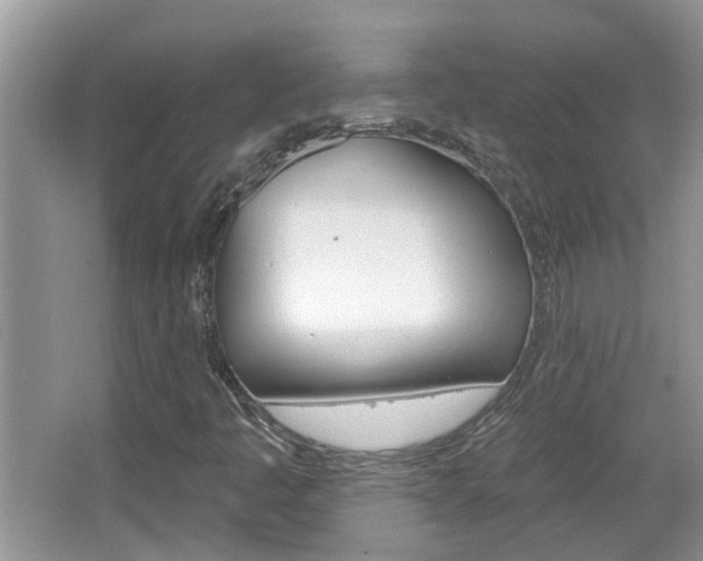 X0000067331445200603310846
