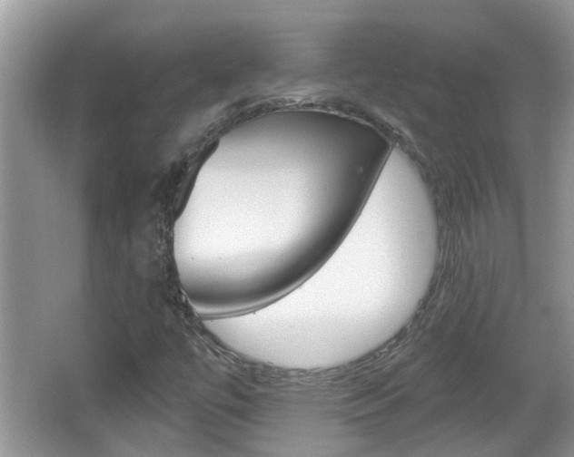 X0000067331447200603310846