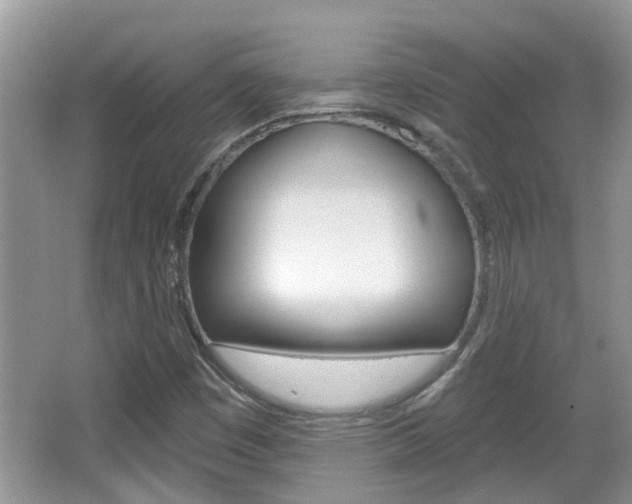 X0000067331449200603310846