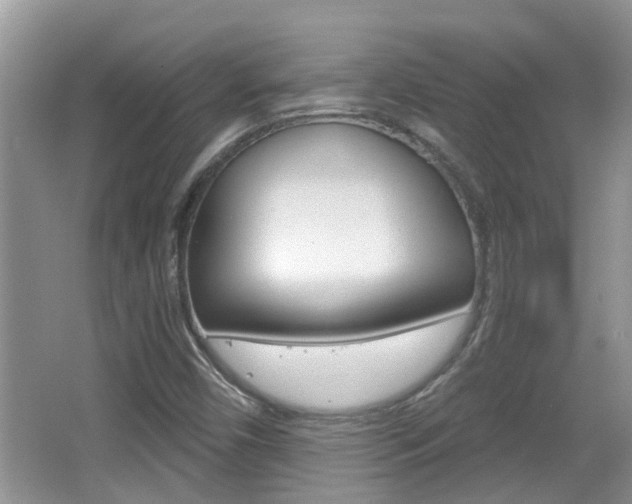 X0000067331450200603310846