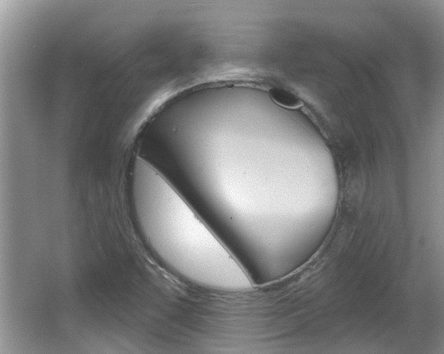 X0000067331455200603310846