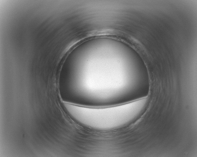 X0000067331457200603310846