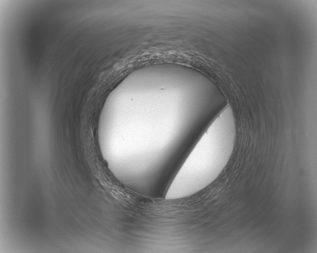 X0000067331489200603310845