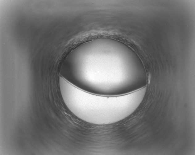 X0000067331492200603310845