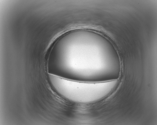 X0000067331501200603310845