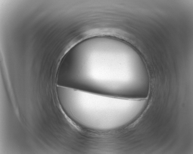 X0000067331521200603310845