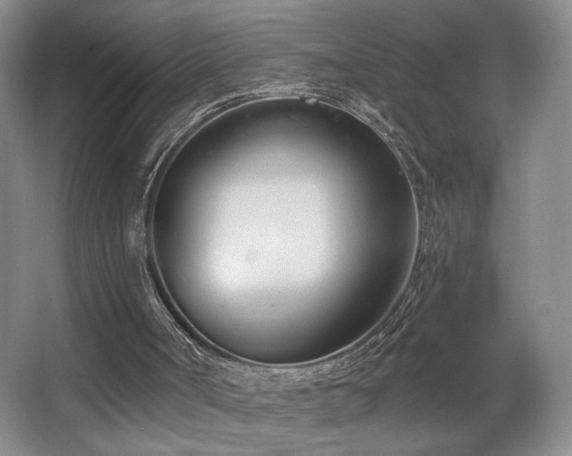 X0000067330002200603311112