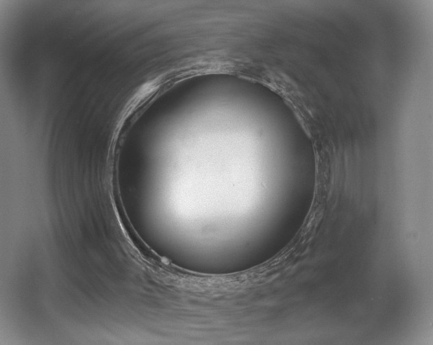 X0000067330003200603311112