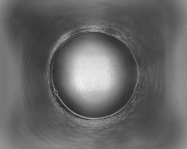 X0000067330006200603311112